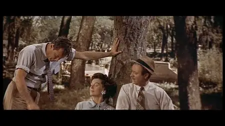 Picnic (1955)