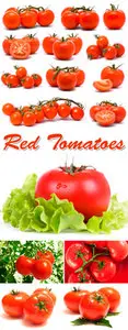 Stock Photo - Red Tomatoes