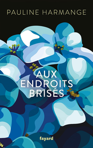 Aux endroits brisés - Pauline Harmange