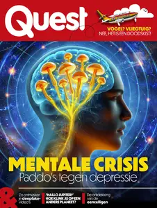 Quest - 13 November 2025