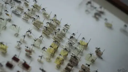 BBC - Horizon: The Battle to Beat Malaria (2024)