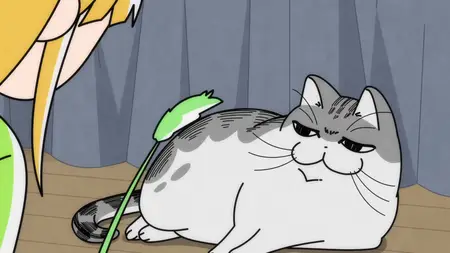 Nights with a Cat - 84