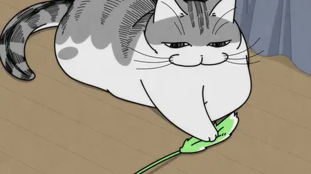 Nights with a Cat - 84