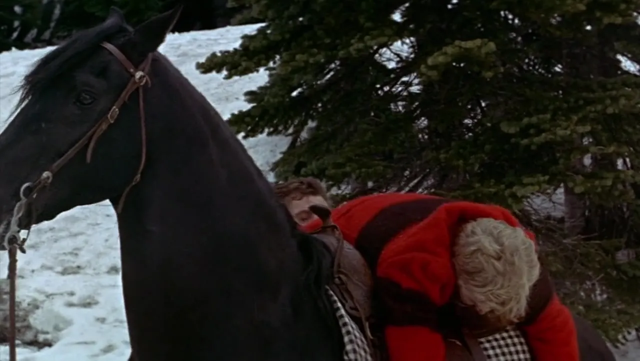 Track of the Cat (1954)