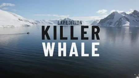 BBC - Expedition Killer Whale (2024)