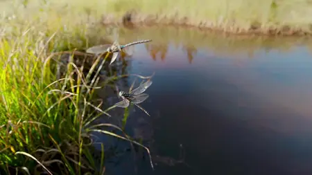 Tiny World S02E03
