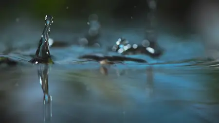 Tiny World S02E03