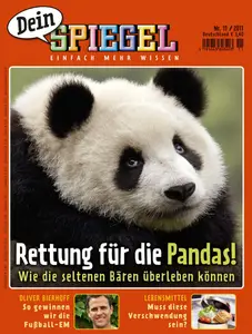 Dein Spiegel - November 2011