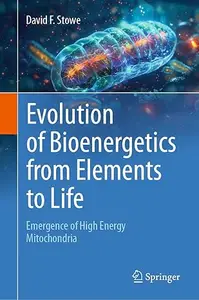 Evolution of Bioenergetics from Elements to Life