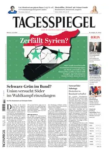 Der Tagesspiegel - 11 Dezember 2024