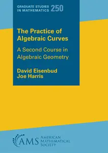 The Practice of Algebraic Curves: A Second Course in Algebraic Geometry