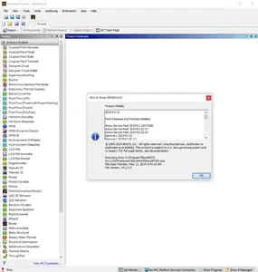 ANSYS Products 2024 R2.02 (SP2)