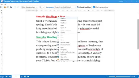 Ngoc Thanh Document Spell Checker 1.0.0 (x64)