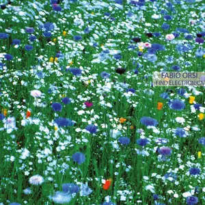 Fabio Orsi - 3 Albums (2007-2013)