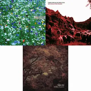 Fabio Orsi - 3 Albums (2007-2013)