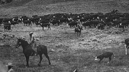 Kevin Costner's The West S01E08