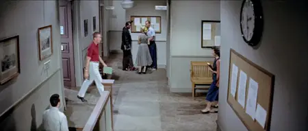 A Kiss Before Dying (1956)