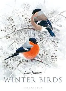 Winter Birds (Repost)