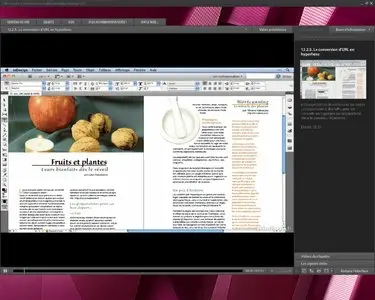 La formation complète sur Adobe InDesign CS5