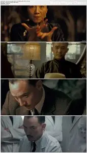 The Grandmaster (2013)