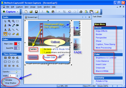Belltech CaptureXT Screen Capture 3.0