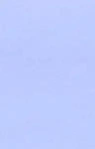 Reckoning with the Imagination: Wittgenstein and the Aesthetics of Literary Experience