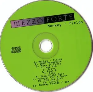 Mezzoforte - Monkey - Fields (1996) {ZYX}