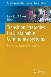 Transition Strategies for Sustainable Community Systems: Design and Systems Perspectives (Repost)