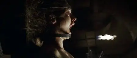 Shadow Of The Sword (DVDRip 2005)