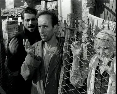 Il Bidone (1955)