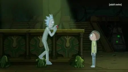 Rick and Morty S04E03