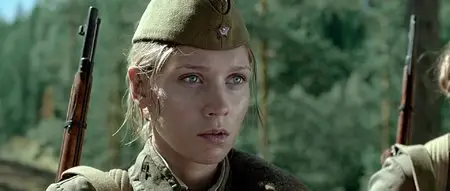 A zori zdes tikhie (2015)