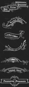 Vintage Ornaments and Brushes Vector Set 7