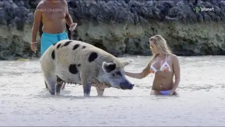 Pig Tales (2023)