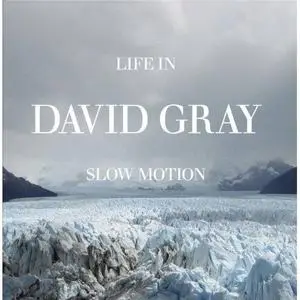 DavidGray-Life In Slow Motion (2005)