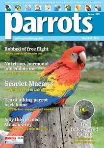 Parrots - October 2023