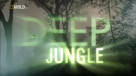 National Geographic - Deep Jungle: The Beast Within