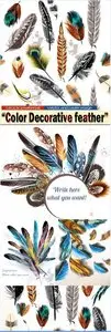 Color Decorative feather in Vector