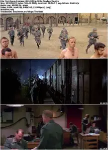 Von Ryan's Express (1965)