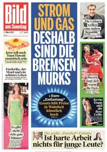 BILD AM SONNTAG – 05. März 2023