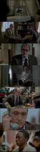 The Visitor (2007)