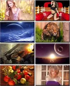 LIFEstyle News MiXture Images. Wallpapers Part (31)