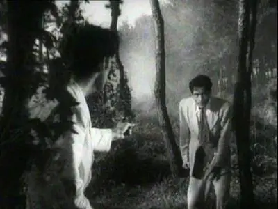 Akira Kurosawa-Nora inu ('Stray Dog') (1949)