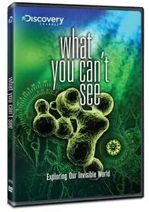 Discovery Channel - What You Can't See (2010)