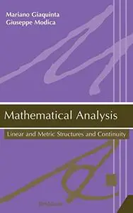 Mathematical Analysis: Linear and Metric Structures and Continuity (Repost)