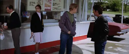 The Outsiders / Die Outsider (1983)