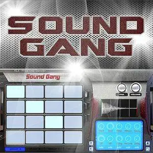 MVP Loops Sound Gang MULTiFORMAT