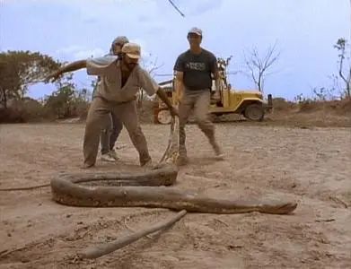 Land of the Anaconda (1998)