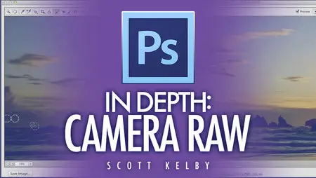 Photoshop In Depth: Camera Raw 1: 7-Point System