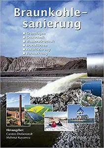 Braunkohlesanierung: Grundlagen, Geotechnik, Wasserwirtschaft, Brachflächen, Rekultivierung, Vermarktung (Repost)